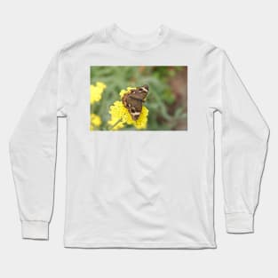 Junonia coenia butterfly, known as the common buckeye, on yellow flowers Long Sleeve T-Shirt